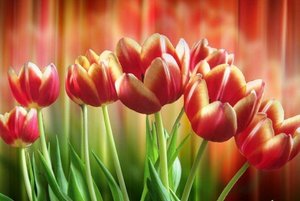 Концертная программа посвящённый Международному Женскому Дню «8 Марта» – «Вам, любимые!»