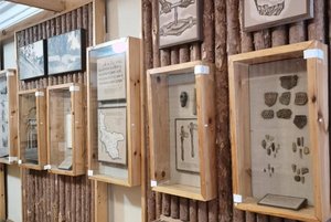 Постоянные экспозиции Борского краеведческого музея
