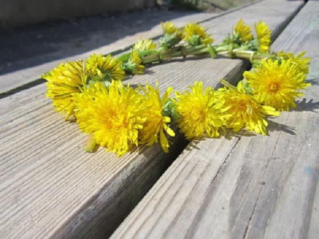 Мастер-класс «Плетение венков» ,посвященный Вceмиpному дню oдувaнчикa ,13 мая