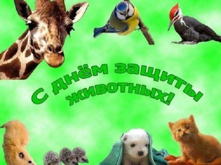 «Литературный зоопарк: животные в детских книжках…»