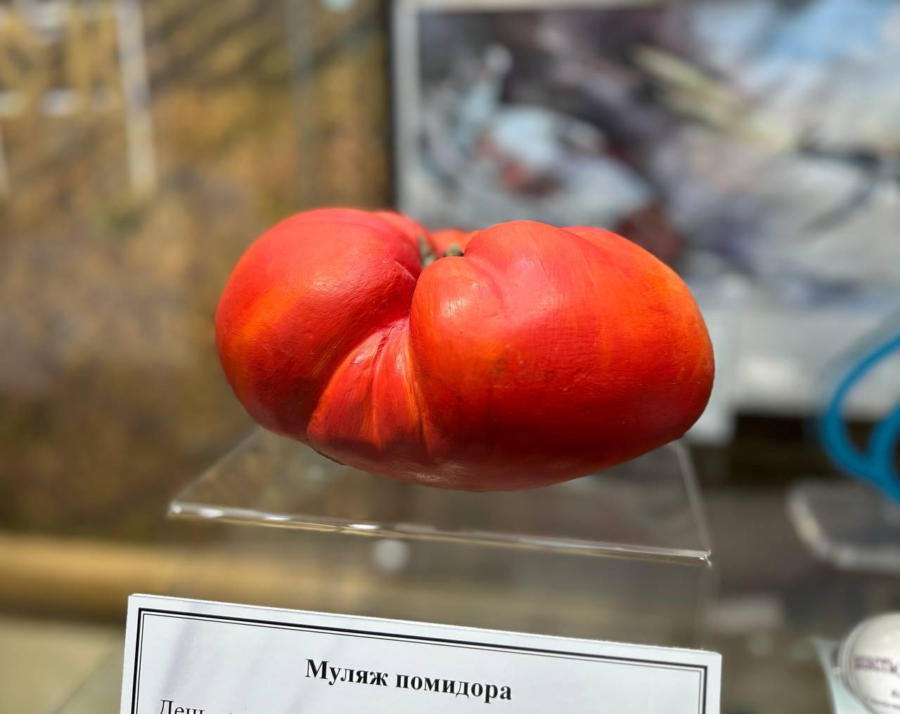 Выставка «Не только о помидоре…»
