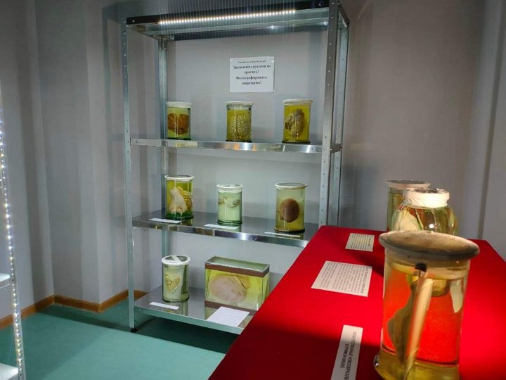 Выставка экспонатов из Санитарного музея