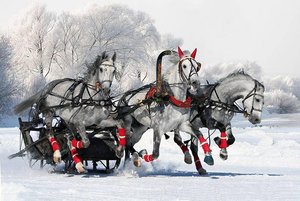 Праздничная программа «Чародейство в новогоднюю ночь»