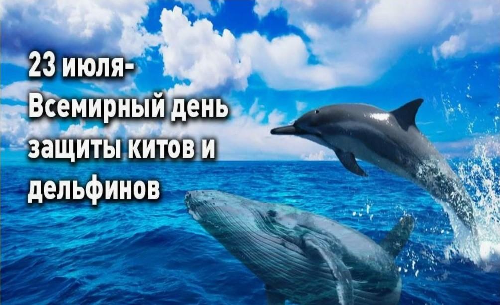 Час познания «Подводный мир»