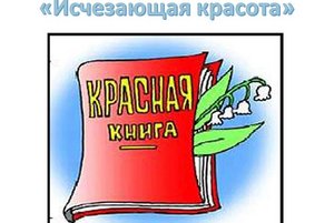 «Исчезающая красота»