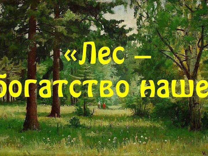 Картинки На Тему Лес Наше Богатство