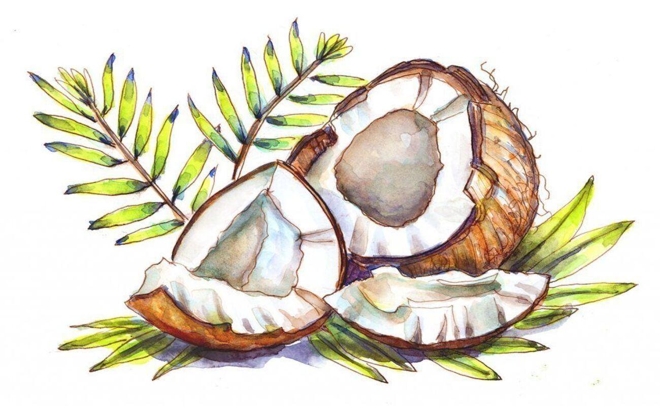 Цикл мастер-классов «Карандашные зарисовки»