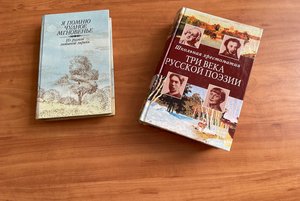 Любимые строки любимых поэтов