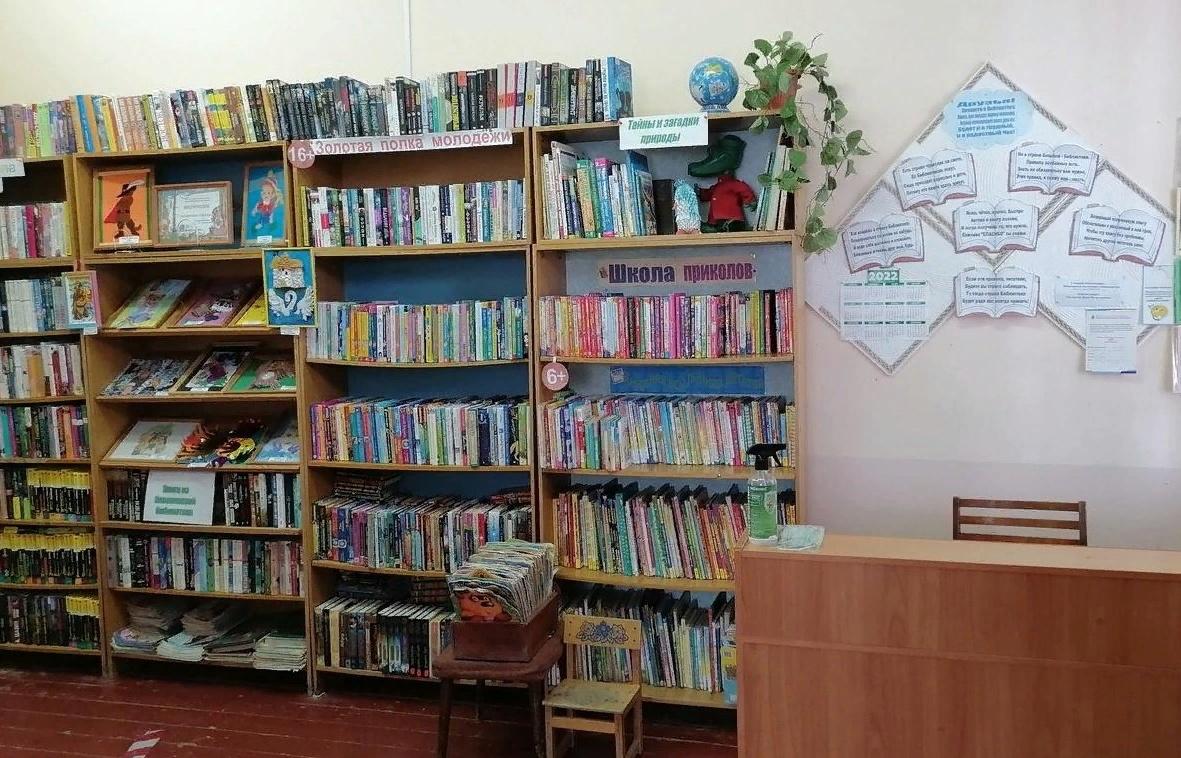Ергачинская библиотека