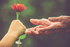 Книжная выставка «Добро отзывчиво как эхо»