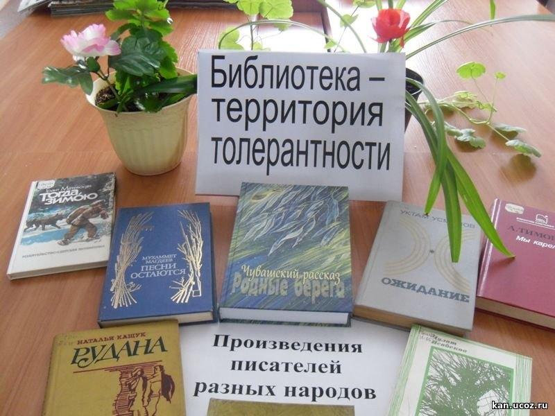 Информационный час «Толерантность - на страницах книг»