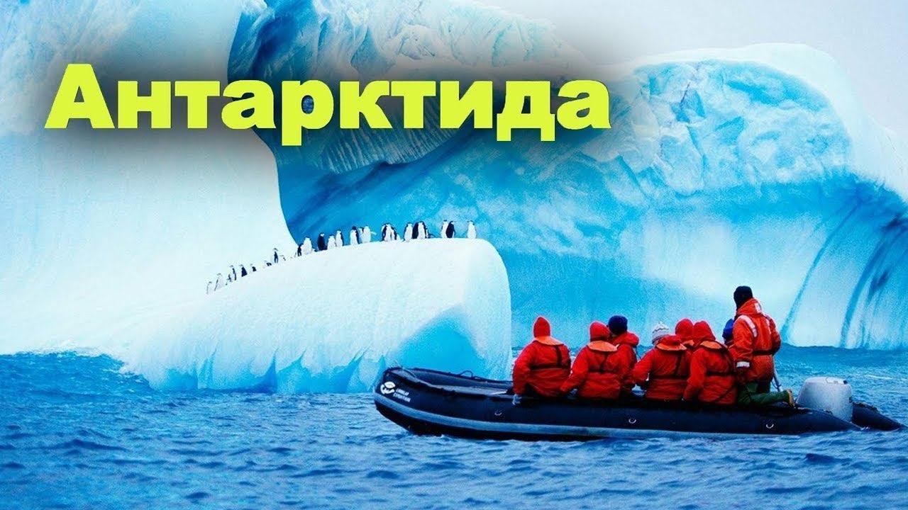 День Антарктиды