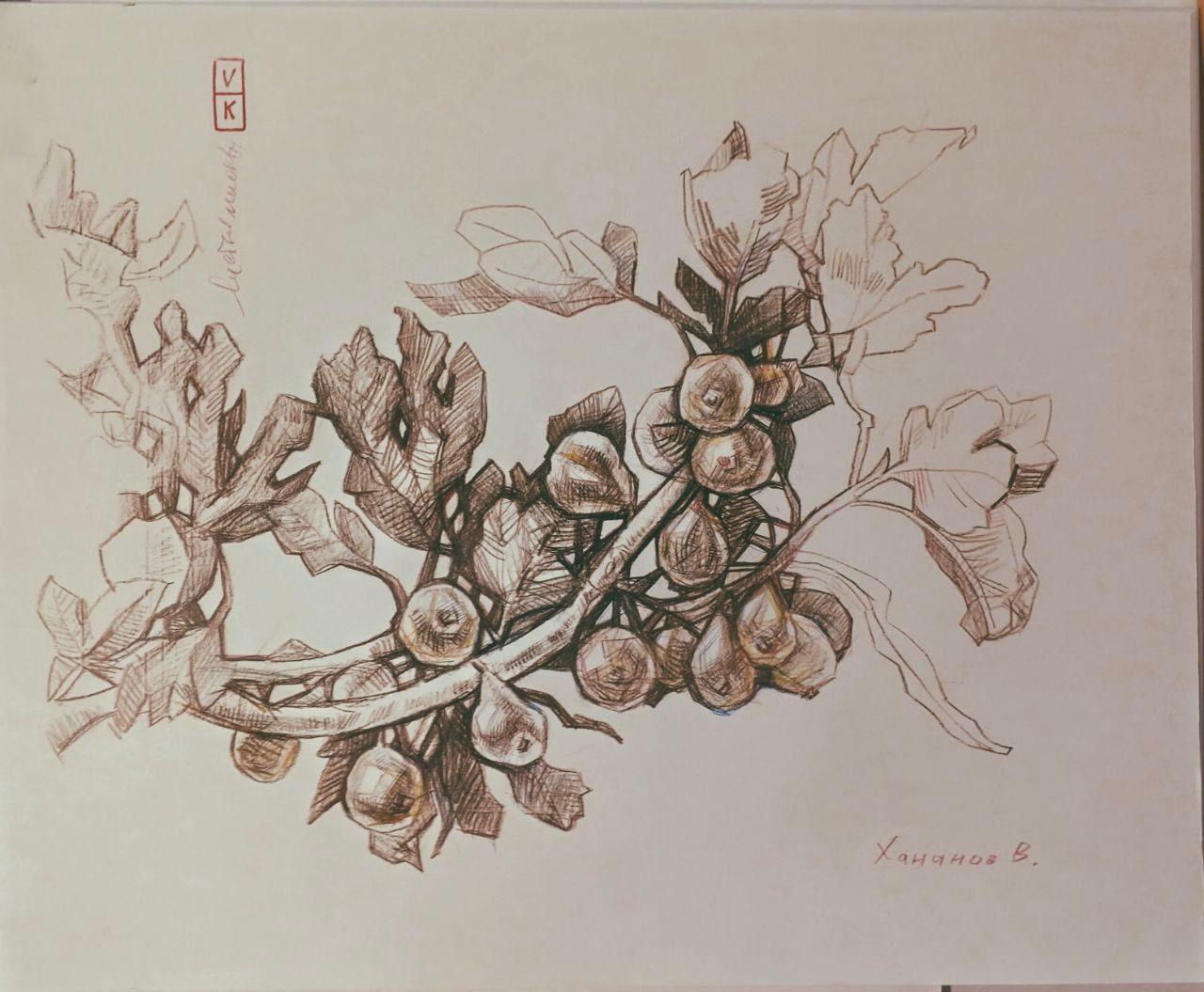 Выставка «Листья смоковницы»