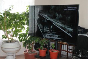 Музейный урок «Солдаты, не ждущие наград»