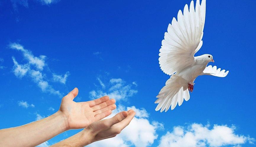 Профилактика экстремизма и терроризма.