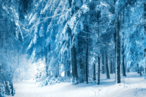 Выставка «Зимняя симфония Шароя: пейзаж в творчестве юных художников»