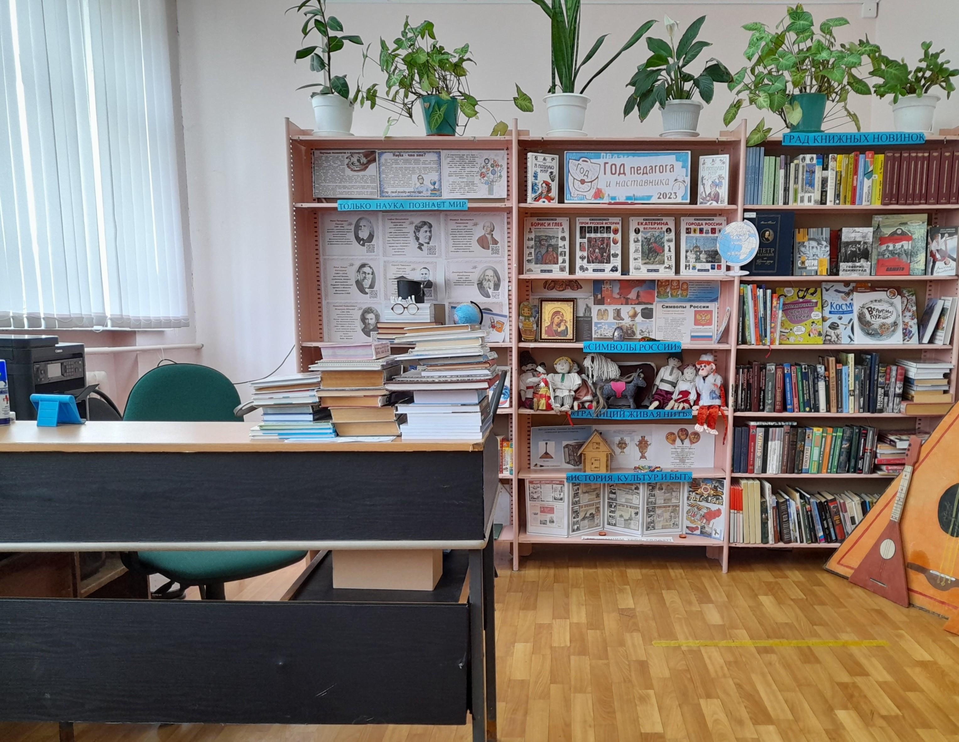 Криничанская сельская библиотека