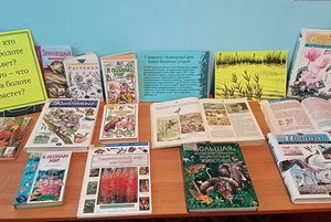 Книжная выставка «Кто-то на болоте живёт, что-то на болоте растёт»