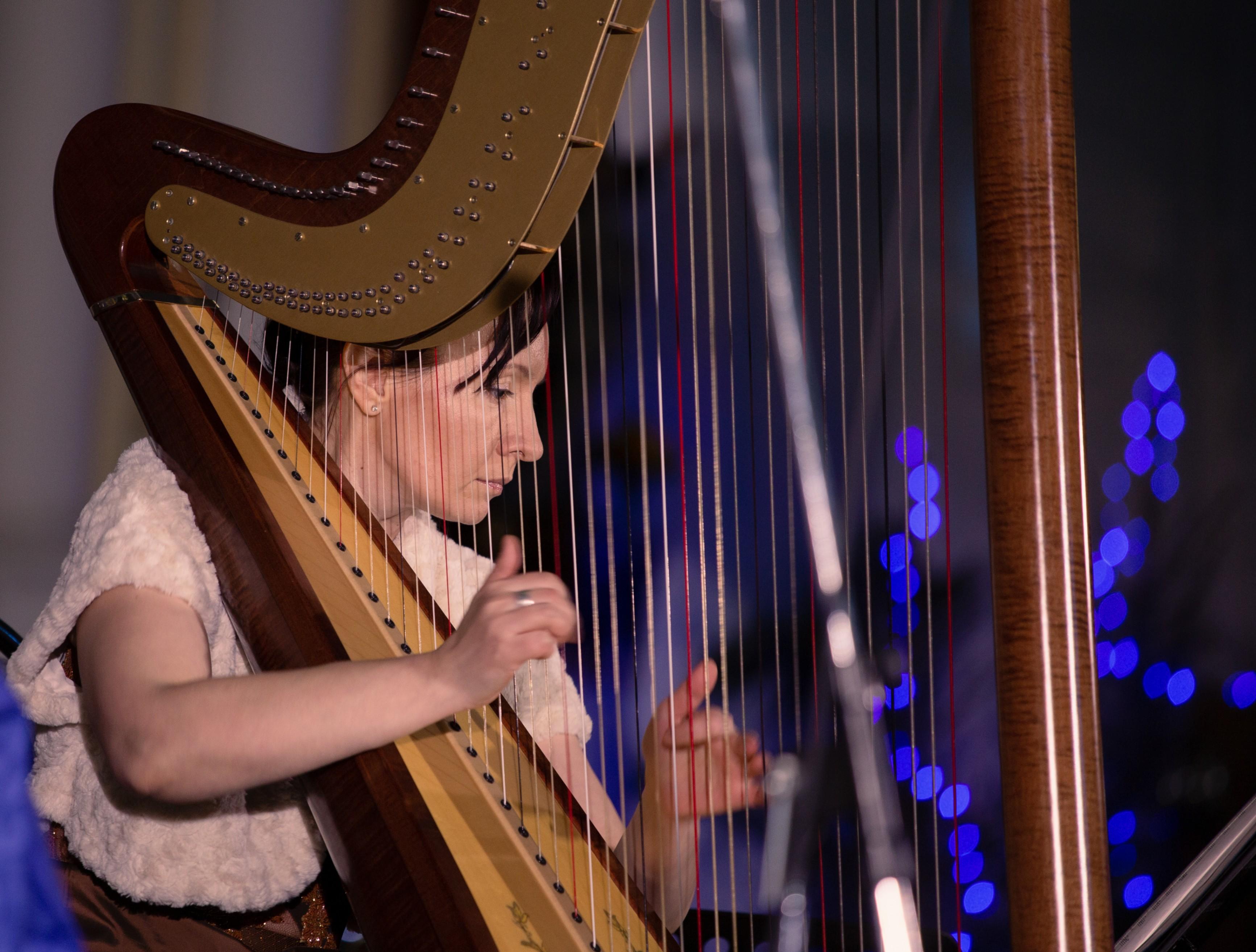 Концерт «Хоббит. Часть 2. И огонь, и вода»