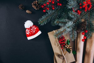 Программа «Новогодними тропинками»