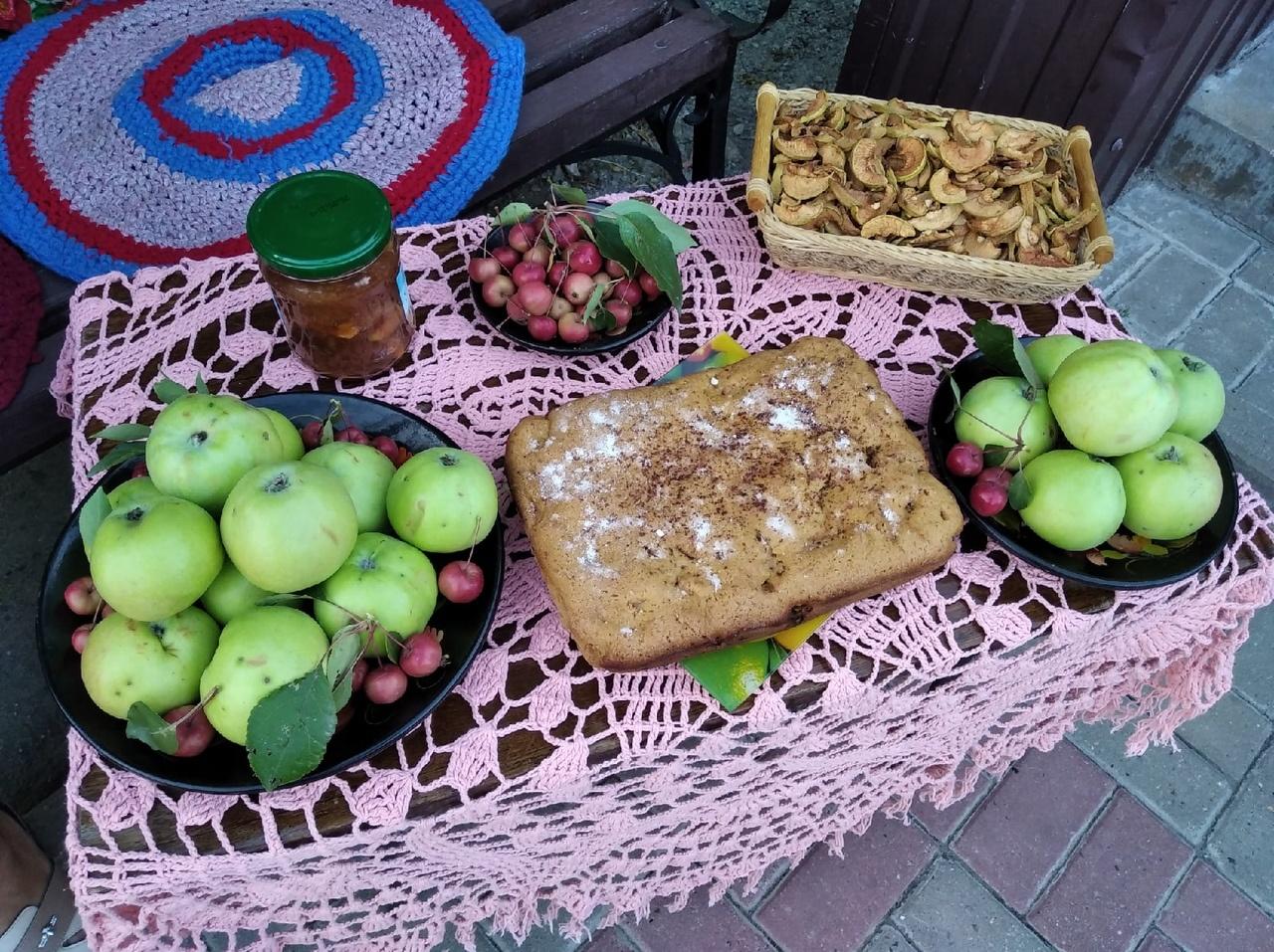 Программа «Яблочный спас»