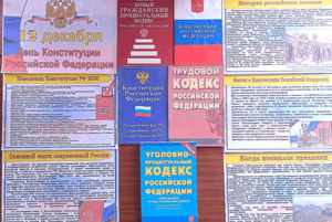Выставка - информация «День Конституции»