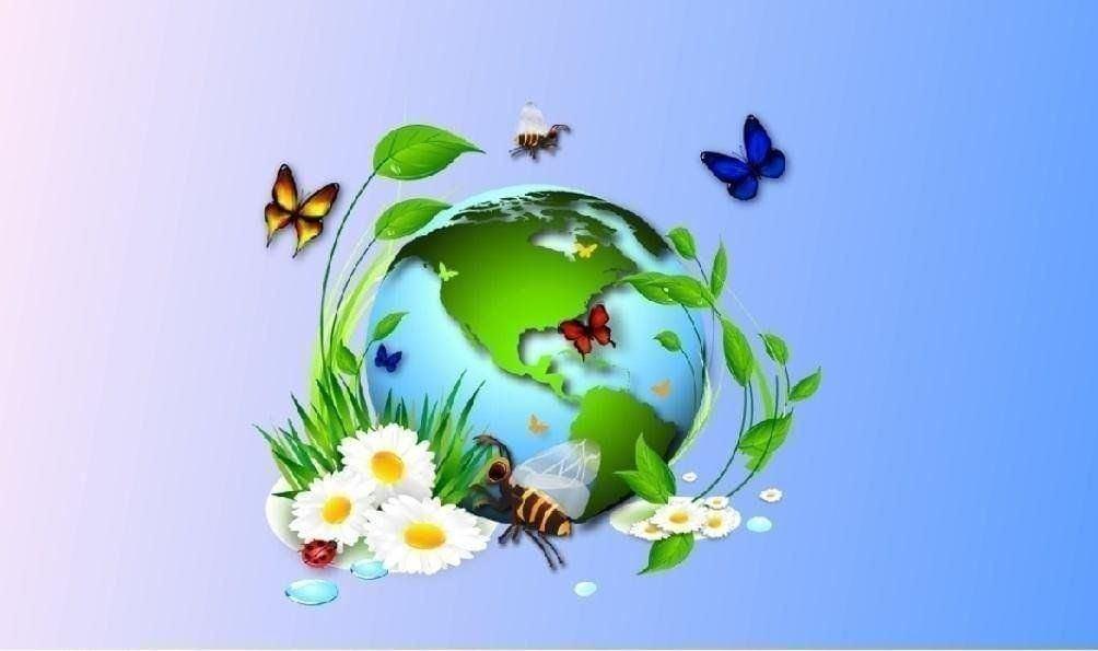 Экологический час «Чтоб повсюду зеленели сосны, вязы, клены, ели»