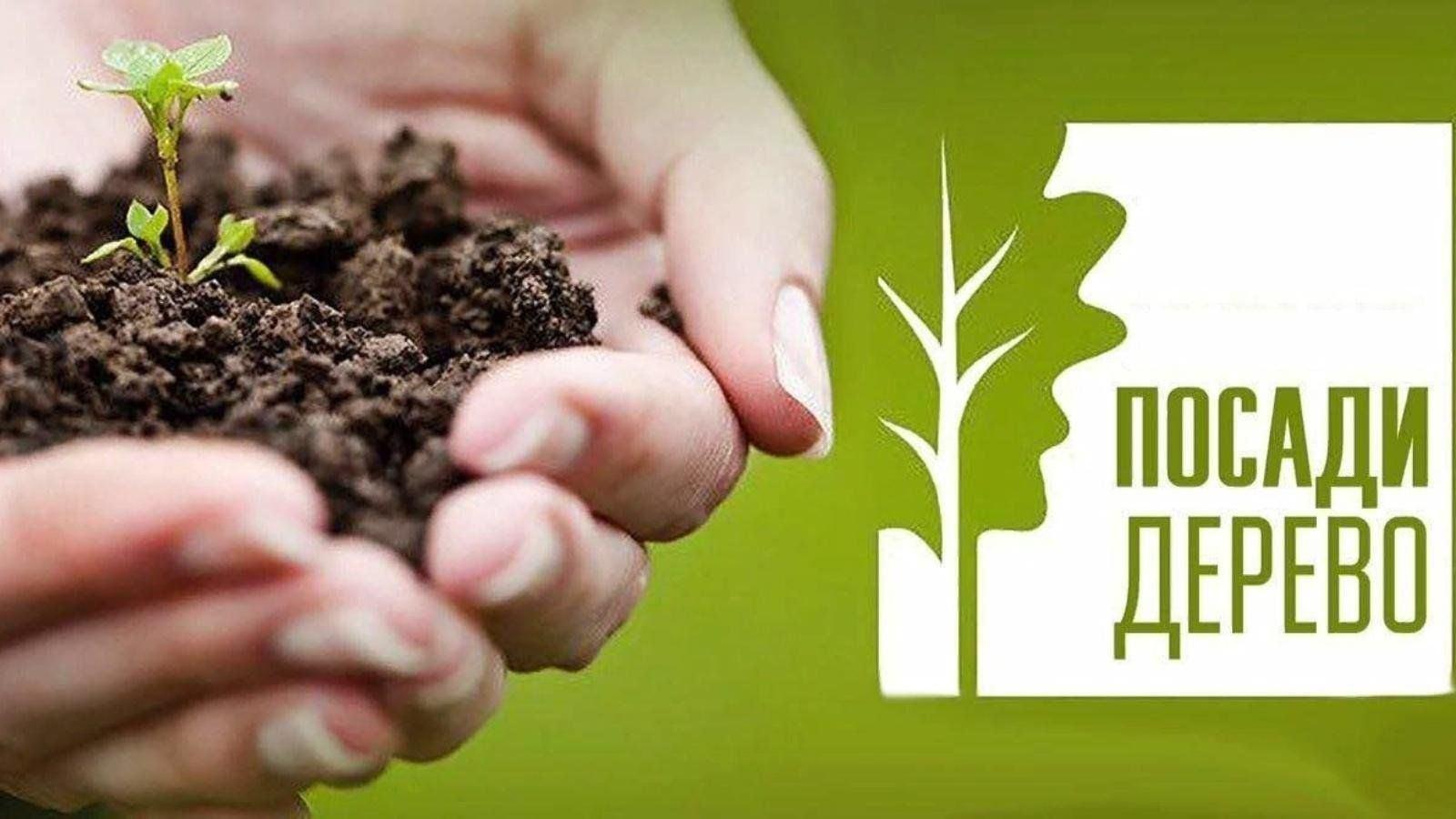Акция «Посади дерево - сохрани природу!»