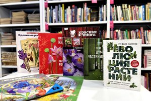 Мультимедийная игра «Волшебный мир цветов»