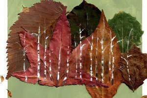 Выставка Анастасии Савицких «Шух-шух»