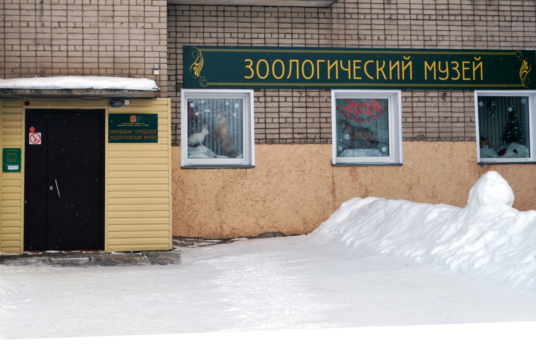 Выставочный зал Кировского городского зоологического музея на ул. Ленина
