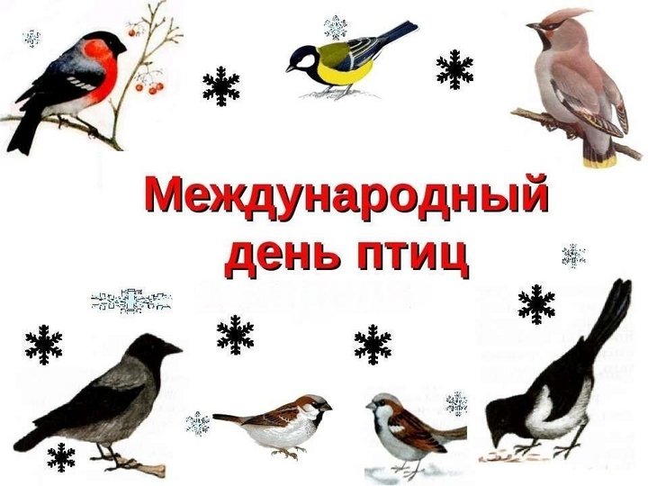 «Международный день птиц»
