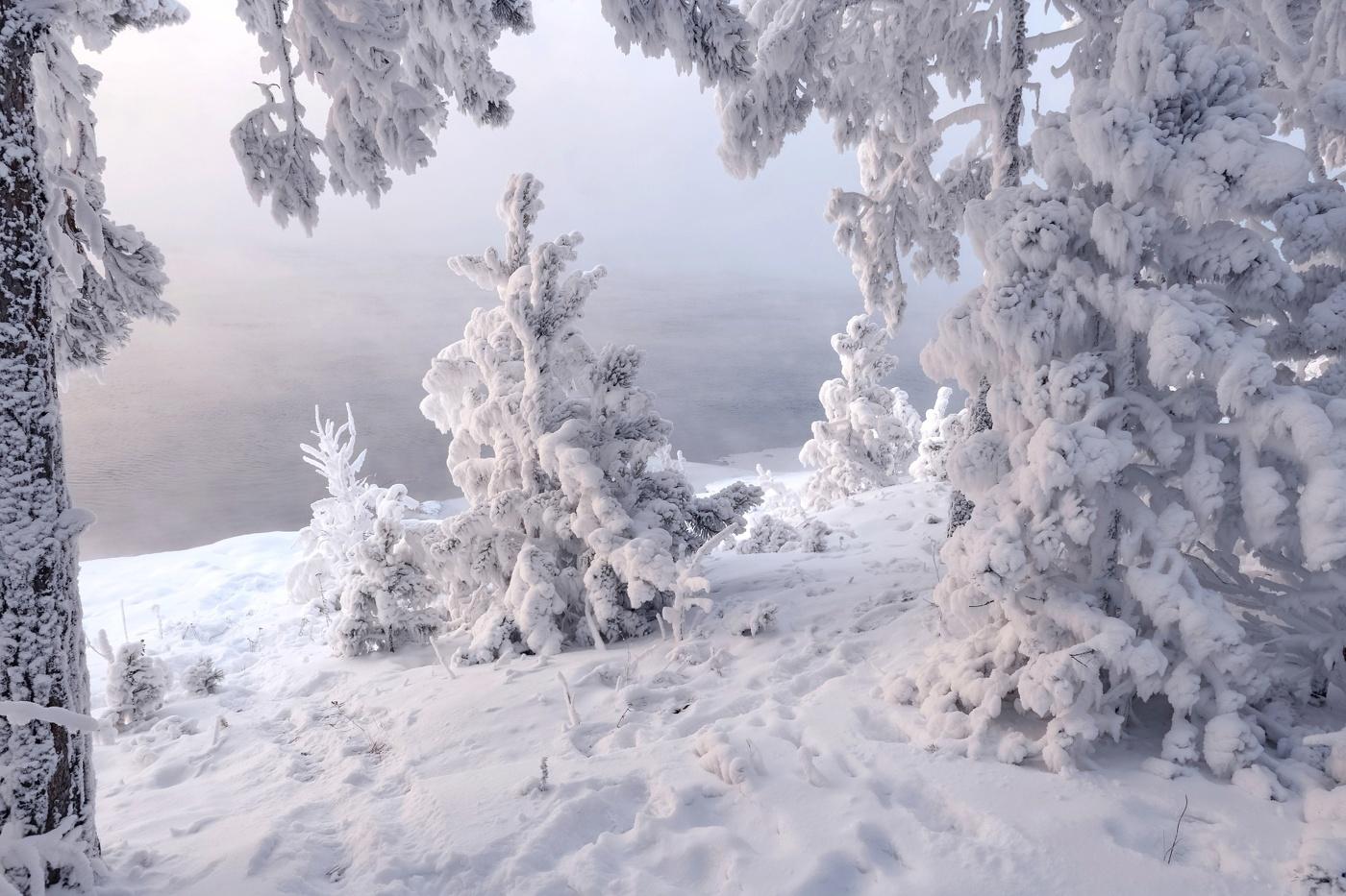 «Морозная фотосессия»