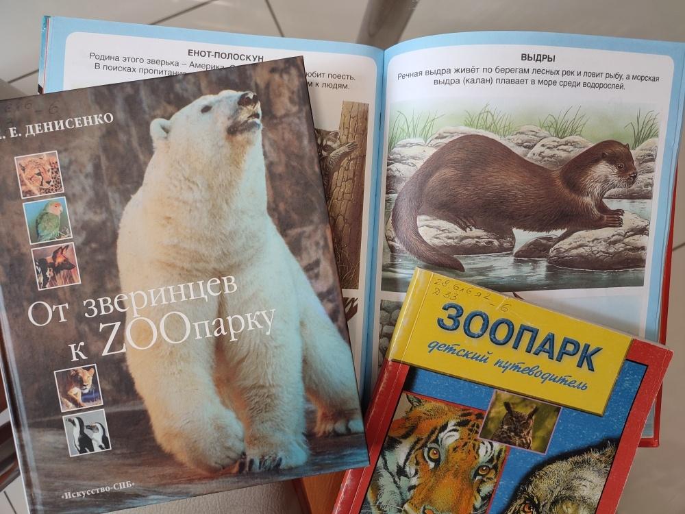 «Знакомьтесь, речная выдра»