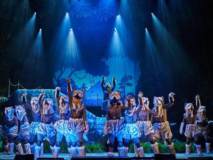 маугли спектакль в москве тюз. маугли тюз екатеринбург. московский театр юного зрителя спектакль маугли. маугли спектакль. имя режиссера театра драмы в каменске-уральском.