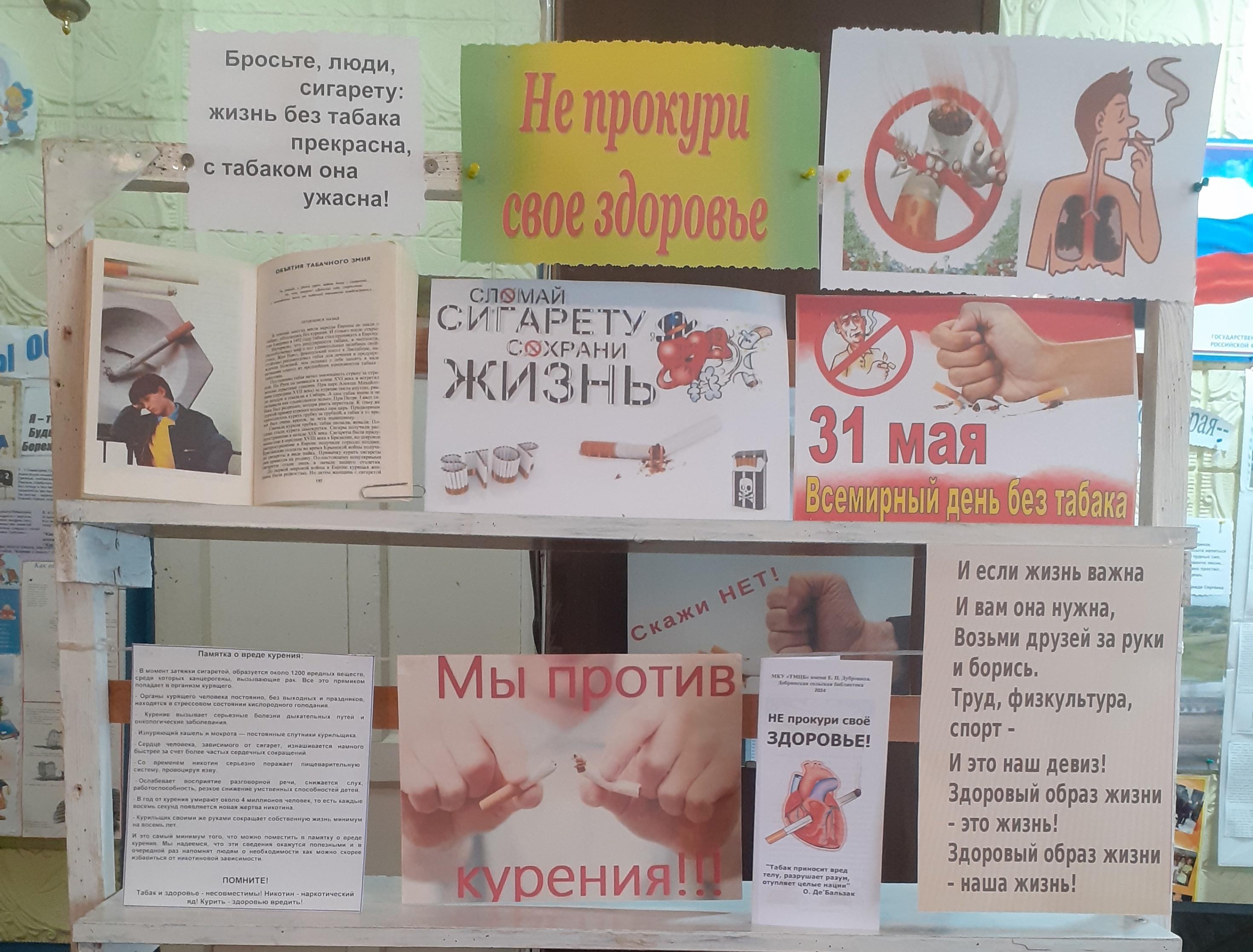 Выставка–беседа «Не прокури свое здоровье»