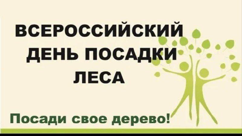 «Посади свое дерево»
