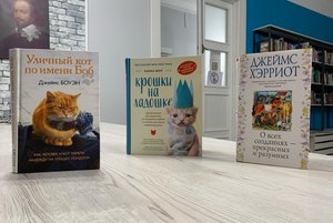 Интерактивная выставка «Кошкин дом»