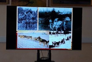 Квест «По следам четвероногих героев»