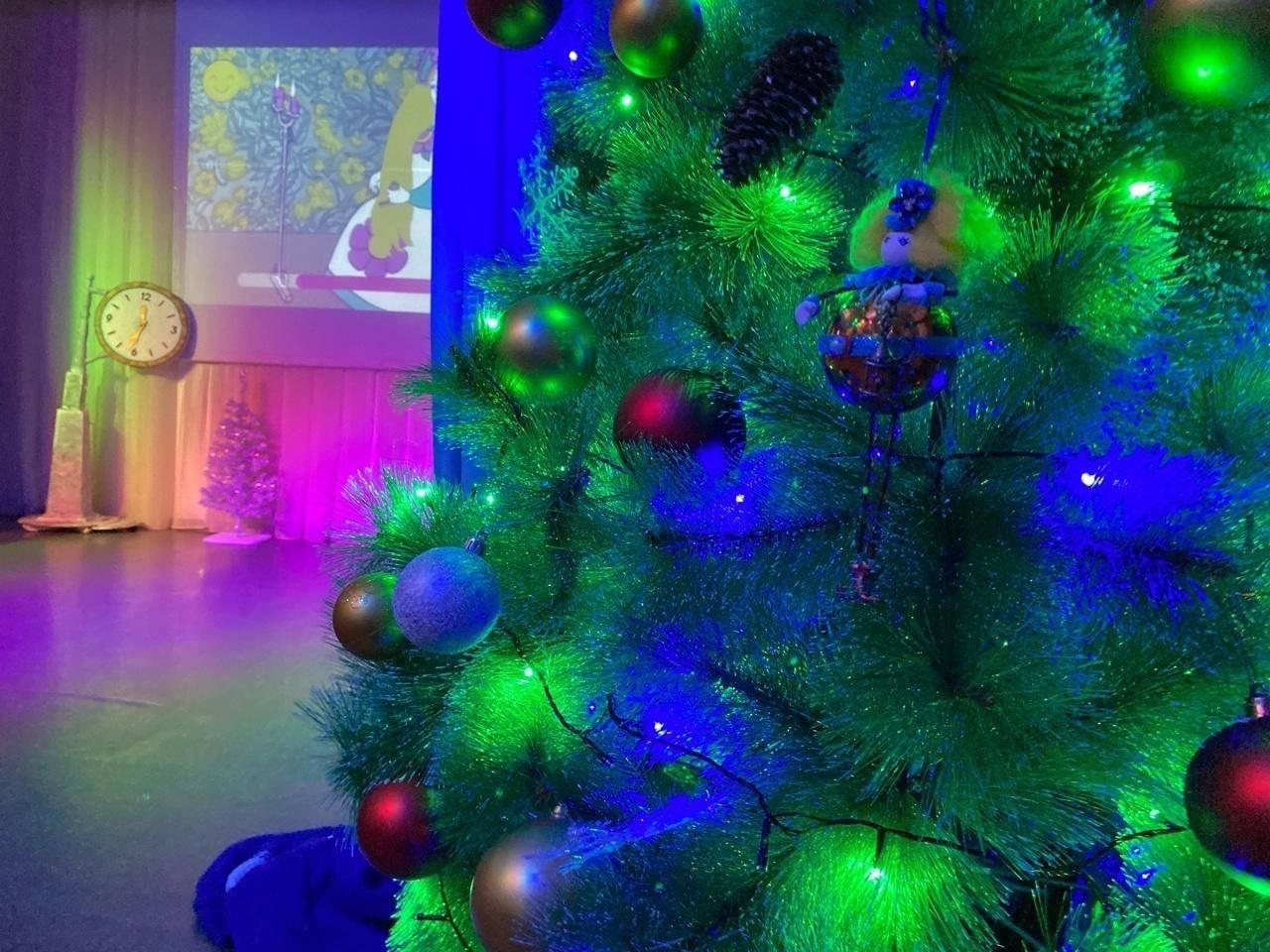 Программа «Дискоелка»