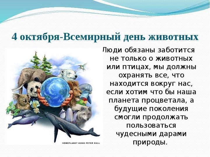 Всемирный день животных