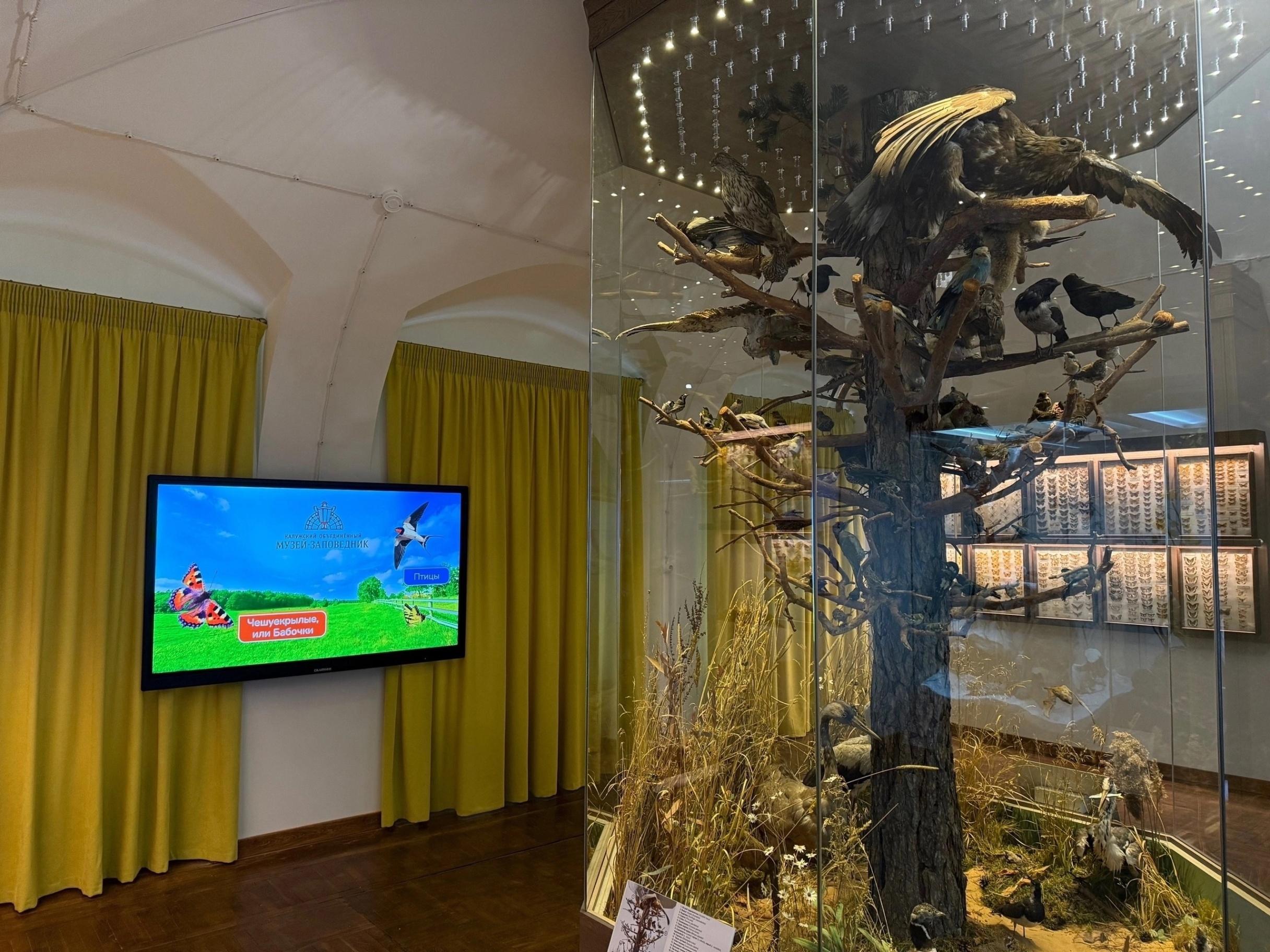 Выставка «Природа Калужского края»