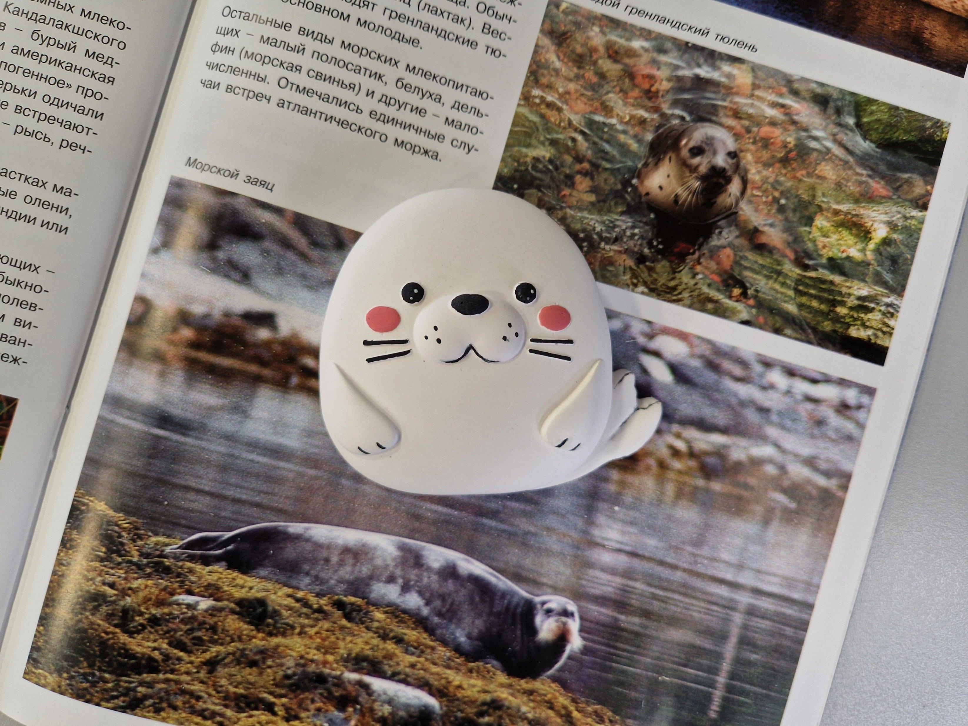 Культурно-просветительская программа «Тюлень Григорий – символ Кандалакши»