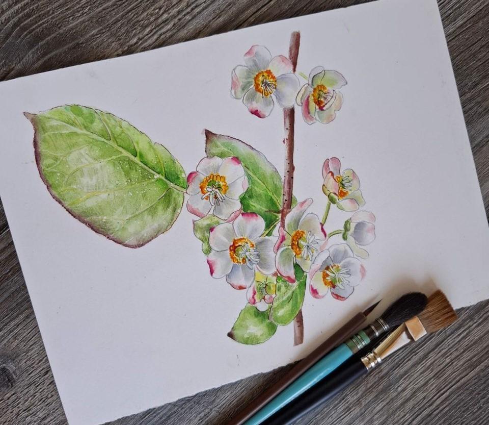 Мастер-класс «Открытка – ботаническая иллюстрация»
