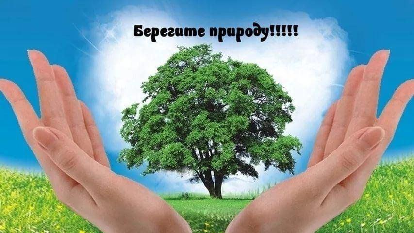 Эко-марафон «Зелёная инициатива»