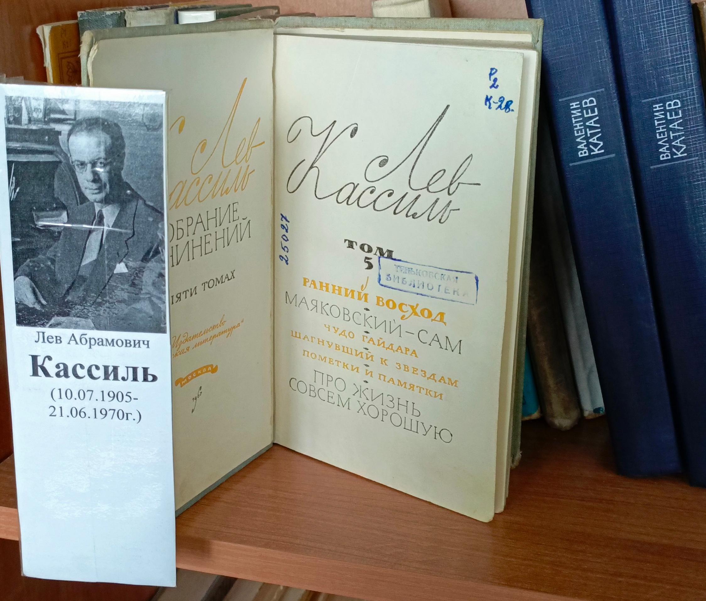 Книжно–иллюстративная выставка «Дорогие мои мальчишки»