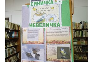 «Синичка-невеличка»