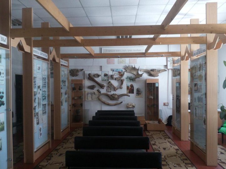 Экспозиция «Археология»