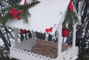 Мастер-класс «Кормушка для пернатых»