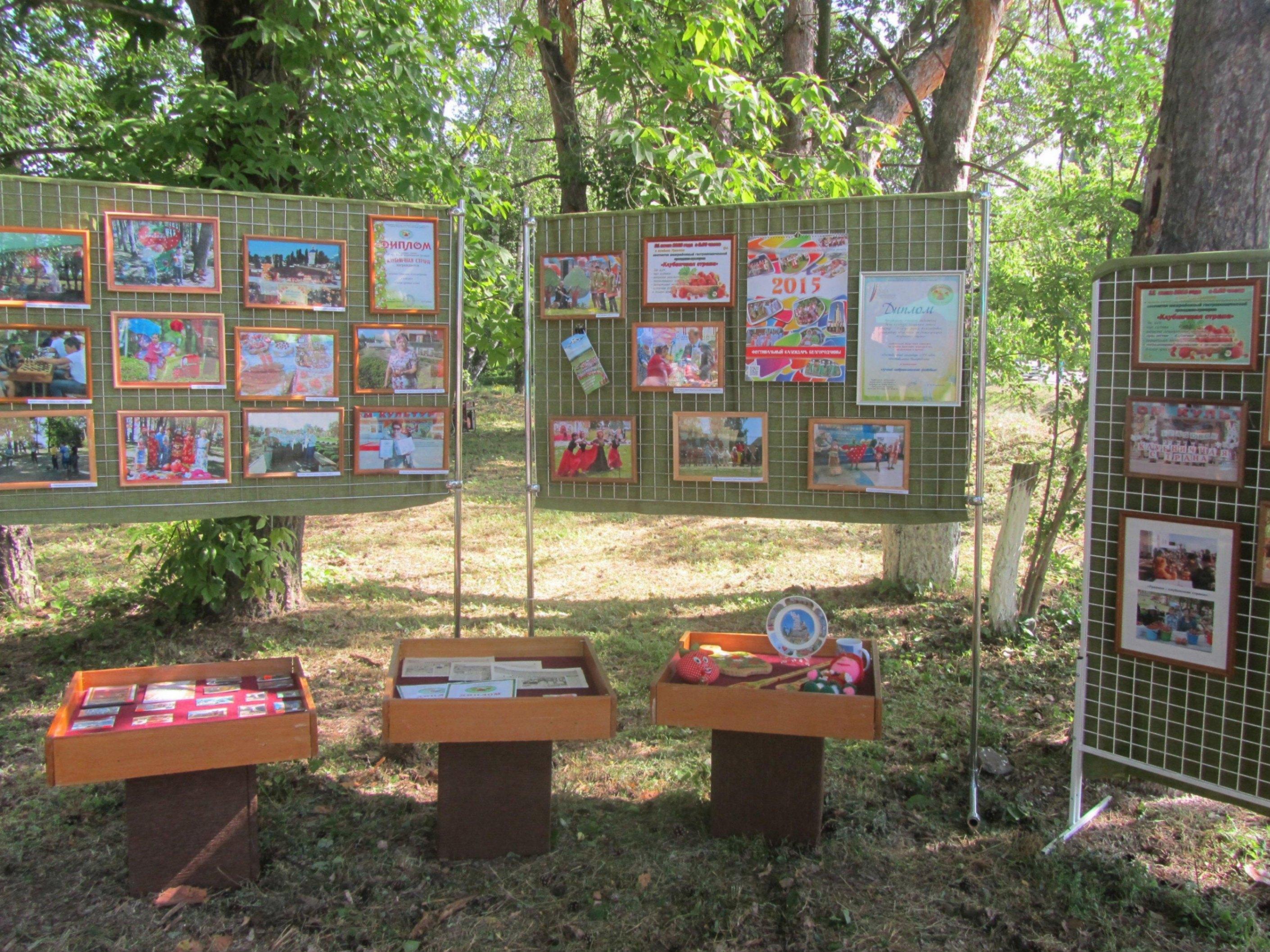 Мини-выставка «Земляничка-ягодка»